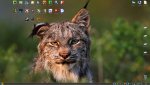 desktop27612.jpg