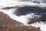 DSC04160_900.jpg