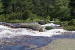 DSC04178_900.jpg
