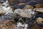 DSC04219_900.jpg