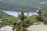DSC04231_900.jpg