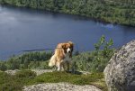 DSC04237_900.jpg