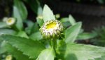DSCN1335.jpg