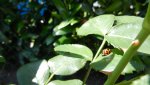 DSCN1347.JPG