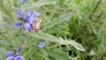 DSCN1512.jpg