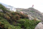 DSC04322_900.jpg