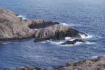 DSC04292_900.jpg