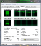 CPU Auslastung 2.PNG
