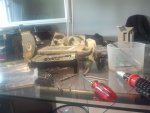 2012-07-04 13.36.05.jpg