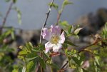 DSC04345_900.jpg