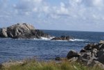 DSC04259.jpg