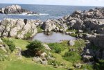 DSC04262.jpg