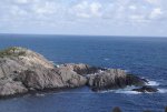 DSC04279.jpg