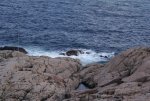 DSC04290.jpg