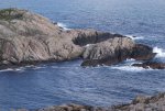 DSC04291.jpg