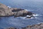 DSC04292.jpg