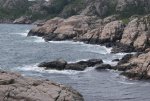 DSC04303.jpg