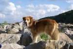 DSC04347_900.jpg