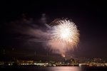 IMG_2980.jpg