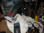 IMG_5812.JPG