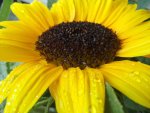 20120713_124521.jpg