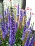 20120713_124800.jpg