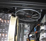 Shadow Wings nach vier Monaten.jpg