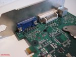 naked_2.JPG