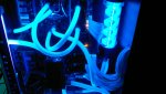 2012-07-15-317.jpg