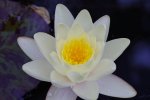 PK5_7199.jpg