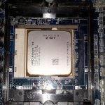 amd.jpg