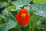 DSC04397_900.jpg
