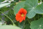 DSC04400_900.jpg