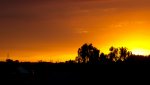 SAM_2047.jpg