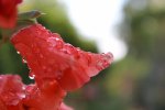 IMG_0331.jpg
