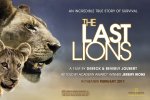 last lions, the_poster.jpg