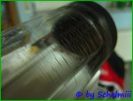 IMG_2179_(ARC.Mod.bySchelmiii).jpg