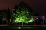 comp_20120720-IMG_1529.jpg