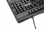 Qpad MK-50.jpg