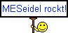 MESeidel.png