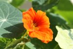 DSC04410_900.jpg