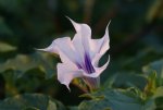 DSC04430_900.jpg