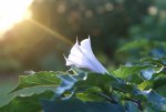 DSC04429_900.jpg