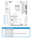 maximus layout.PNG