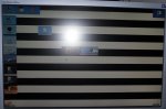 zebra.jpg