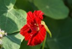 DSC04472_900.jpg