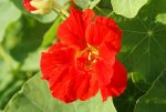 DSC04470_900.jpg