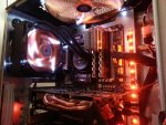 Orange5.jpg