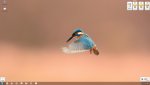 desktop 130812.jpg