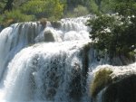 IMG_4727.JPG